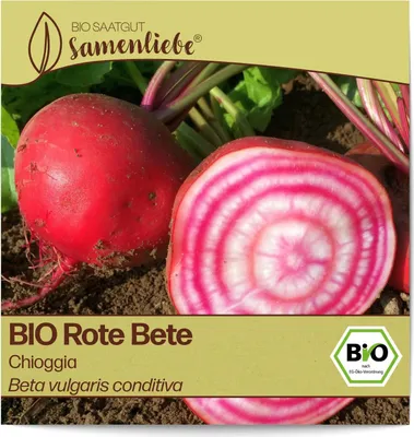 Produktbild von Samenliebe  Rote Bete Samen alte Sorte Chioggia süße feine italienische Beete runde Rüben rot weiß 200 Samen samenfestes Gemüse Saatgut für Gewächshaus Freiland und Balkon  Gemüsesamen