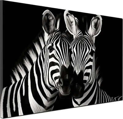 Produktbild von Zebras schwarz weiß Wandbild Leinwandbild Kunstdruck XL Wanddeko: 60x40x2cm