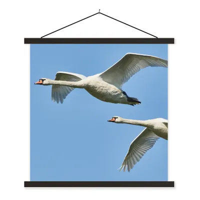 Produktbild von MuchoWow® Textilposter Schwan - Vogel - Himmel - Blau 90x90 cm mit schwarzem Rahmen - Magnetisches