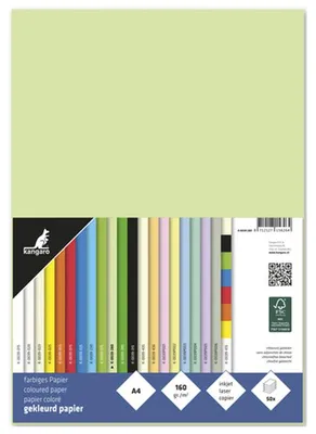 Produktbild von kangaro Multifunktionspapier DIN A4 160 g/qm helles grün 50 Blatt