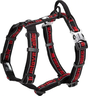 Produktbild von TrueLove Escape Geschirr mit Neopren unterlegt schwarz/rot, Größe: M