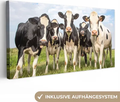 Obrázok produktu pre MuchoWow® - Plátno - Kravy - Pastviny - Zvieratá - Príroda - Tráva, nástenná maľba, nástenné dekorácie obrazy obývacia izba, 40x20cm
