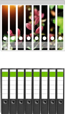 Produktbild von Wallario 8 Stück schmale Ordner inkl. Klebeetiketten mit Motive Rote und grüne Blätter an einem Zweig -  Set mit Rückenschildern / Ordnerrücken Stickern