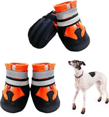 Immagine prodotto di Set di 4 scarpe impermeabili per cani, marca Famanu, con suola antiscivolo e cinturino riflettente. Ideali come stivali per la pioggia e per proteggere le zampe di cani di piccola e media taglia