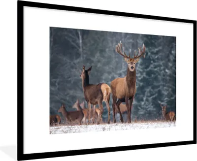 Produktbild von MuchoWow® Gerahmtes Poster Waldtiere - Hirsche - Landschaft - Winter - Schnee - Natur 90x60 cm - Poster mit Schwarzem Bilderrahmen Wandposter Rahmen Foto Bilder - Wanddekoration - Fotos