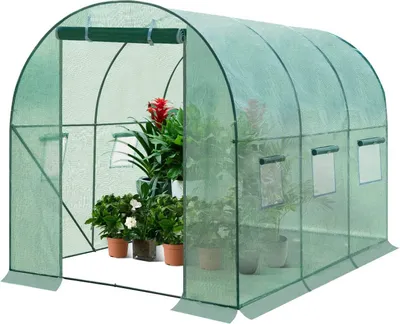 A green greenhouse filled with potted plants.