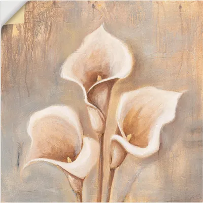Produktbild von ARTland Wandbild, selbstklebend Antike Blüten Größe: 70x70 cm
