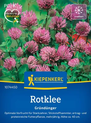 Produktbild von Kiepenkerl Rotkleesamen Wiesenklee Trifolium pratense 20 m²