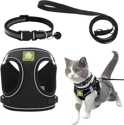 Imagen del producto de Arnés para gatos con correa, transpirable, talla S (30-38 cm), ideal para gatos y perros pequeños