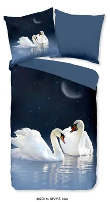 Immagine prodotto di Biancheria da letto in puro Renforcé 135 X 200 cm + 1 x 80 X 80 cm Condividi blu