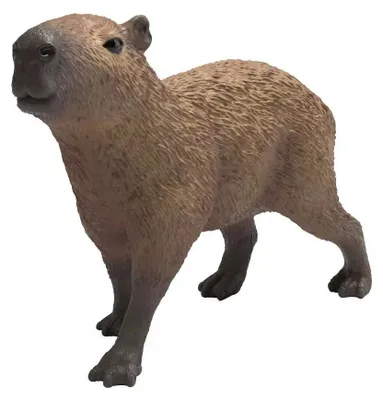 Immagine prodotto di Capibara