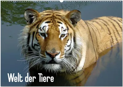Produktbild von Welt der Tiere (Wandkalender 2026 DIN A2 quer), CALVENDO Monatskalender