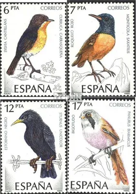 Produktbild von Briefmarken Spanien 1985 Mi 2704-2707 (kompl.Ausg.) postfrisch Vögel