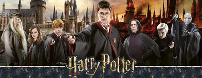 Image de Nathan Puzzle Harry Potter - La guerre des sorciers - Puzzle de 1000 pièces