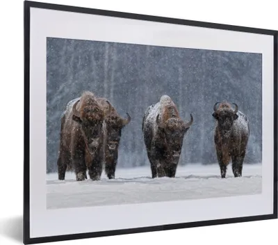 Produktbild von MuchoWow® MuchoWow® Gerahmtes Poster Tiere - Schnee - Amerika 40x30 cm - Poster mit zchwarzem Bilderrahmen - Bilderrahmen - Poster im Rahmen
