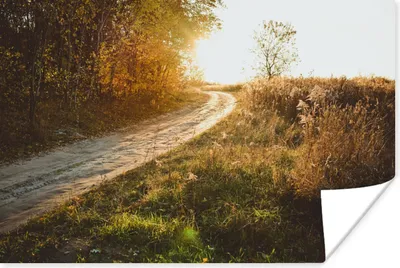 Produktbild von MuchoWow® Poster Weg - Natur - Baum 120x80 cm - Bilder