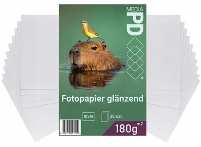 Produktbild von PD Media Fotopapier 10x15 cm glänzend – 180 g/m², 20 Blatt, für Tintenstrahldrucker (Inkjet 4R)