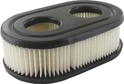 Image de Filtre à air Briggs & Stratton Pour moteurs séries : 092j0b, 093j02 - Origine : 5931260, 798452.