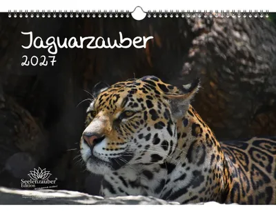 Produktbild von Jaguarzauber DIN A3 Kalender für 2027 Jaguar - Seelenzauber