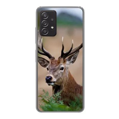 Produktbild von MuchoWow® Handyhülle Schutzhülle Hülle für Samsung galaxy a73 Hirsche - Farne - Natur Silikon Softcase Handy Hülle - Handyhülle