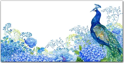 Produktbild von Coloray Küchenrückwand 140x70 Spritzschutz aus Glas - Blumen Vogel Pfau