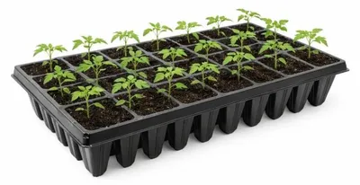Obrázek produktu pro sadbovač plastový 40x15x5cm 60 sazenic balení 3ks