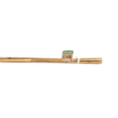 Produktbild von Plantris Bambus-Pflanzenstäbe 120 cm 10–12 mm – 3 Stück, natürliche Rankhilfe für Garten-, Balkon- und Zimmerpflanzen