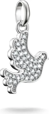 Produktbild von Thomas Sabo Charm Club Connect CC1267-051-14 Charm Anhänger