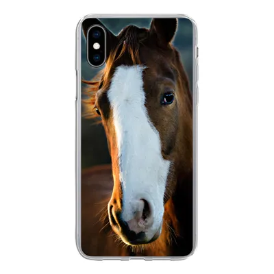 Produktbild von MuchoWow® Handyhülle Schutzhülle Hülle für iPhone Xs Pferd - Kopf - Licht Silikon Softcase Handy Hülle - Handytasche