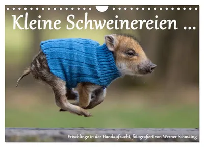 Produktbild von Kleine Schweinereien (Wandkalender 2027 DIN A4 quer), CALVENDO Monatskalender