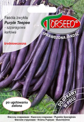 Produktbild von Seeds Dwarf Purple Teepee 30g Bohne - Torseed