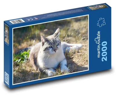 Obrázok produktu pre martinpuzzle - Puzzle 2000 - Putujúca macka