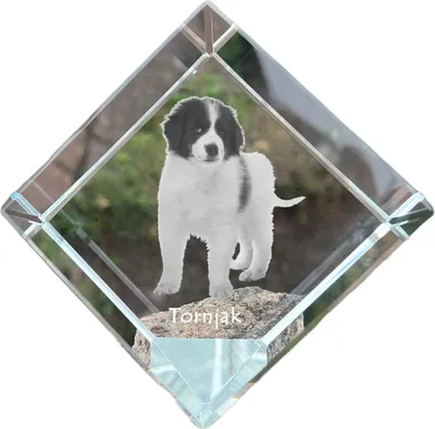 Zdjęcie produktu dla Art-Dog Przycisk do papieru – Tornjak