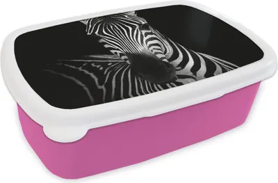 Produktbild von KitchenYeah® Lunchbox Brotzeit Brotdose 17x11 cm Zebra - Schwarz - Weiß - Tiere Kinder Brotzeitdose - Lunchpaket - Brotkasten  - Sandwich Box