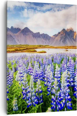 Produktbild von Bild auf Leinwand - Leinwandbild - Einteilig - Berge Wiese Blumen - 70x100cm - Wand Bild - Wanddeko - Wandbilder - Leinwanddruck - Wanddekoration - Leinwand bilder - Wandbild - PA70x100-4114