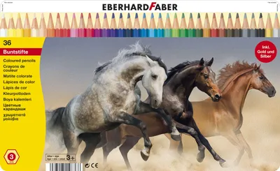 Produktbild von Eberhard Faber 514836 - Farbstift hexagonal 36er, Blechetui