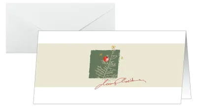 Produktbild von SIGEL DS072 Weihnachts-Karten "Christmas with apples" -  DIN lang - 10 Karten inkl. Umschläge