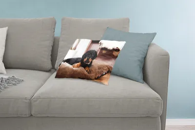 Produktbild von MuchoWow® Zierkissen Sofakissen Wohnzimmer Dekokissen 60x40 cm Rottweiler-Welpe liegt auf einem weichen Kissen - Kopfkissen - Polster mit Foto