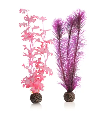 Produktbild von biOrb Seetang Set mittelgroß pink (46082)