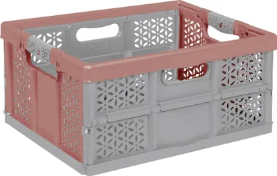 Obrázek produktu pro Skládací box "Profi Lea"