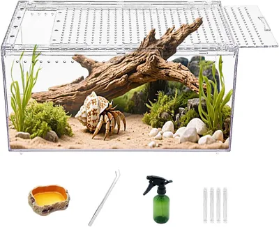 Produktbild von Reptilien Terrarium 40x25x20 cm, für Vogelspinne, Kunststoff, Eidechse