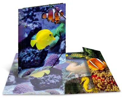 Immagine prodotto di Gummizugmappe A4 PP Glossy Fische