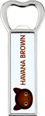 Imagen del producto de Art-Dog Abrebotellas – Gato Marrón de La Habana