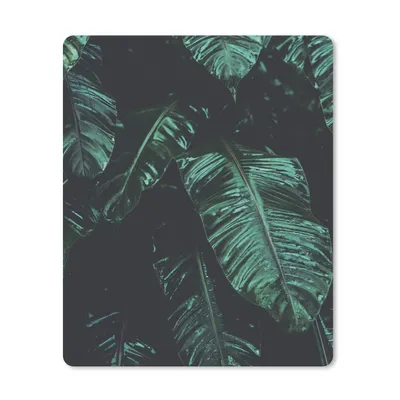 Produktbild von MuchoWow® Mauspad Mousepad Dschungel - Palme - Blätter - Tropisch 30x40 cm - Mousepads - Maus Mat - Pad - Mausunterlage - Mausmatten