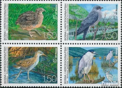 Produktbild von Briefmarken Bosnien - Kroat. Post Mostar 2009 Mi 275-278 Viererblock (kompl.Ausg.) postfrisch Vögel