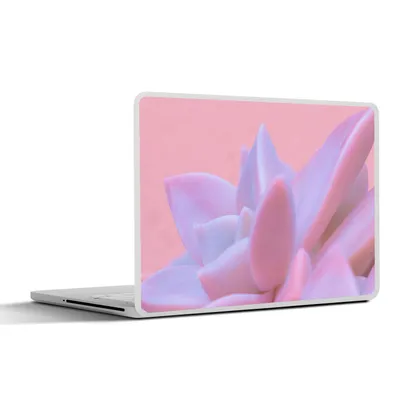 Produktbild von MuchoWow® Laptop Aufkleber Sticker Cover Sukkulente - Sommer - Rosa - Pflanzen 25x18 cm - Laptop-Deko