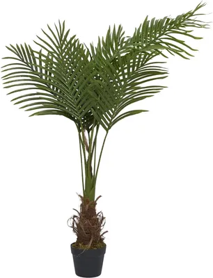 Immagine prodotto di Palma Areca artificiale, pianta ornamentale tropicale realistica, altezza 120 cm, ideale per interni