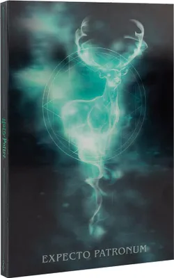 Zdjęcie produktu dla Notatnik soczewkowy Erik Editores A5 Harry Potter przezroczysty przezroczysty jeden rozmiar