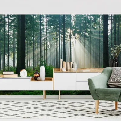 Produktbild von Fototapete Wald - Vliestapete - Bildtapete UV-beständig Design grün Motiv Wandtapete geruchsfrei
