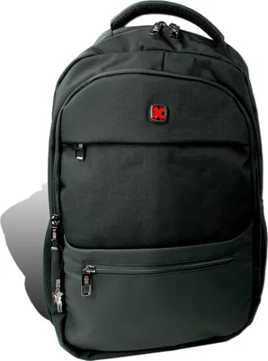 Obrázok produktu pre Batoh na notebook Travel N Meet, batoh s polstrovaním čierny pánsky D2ORD4216S